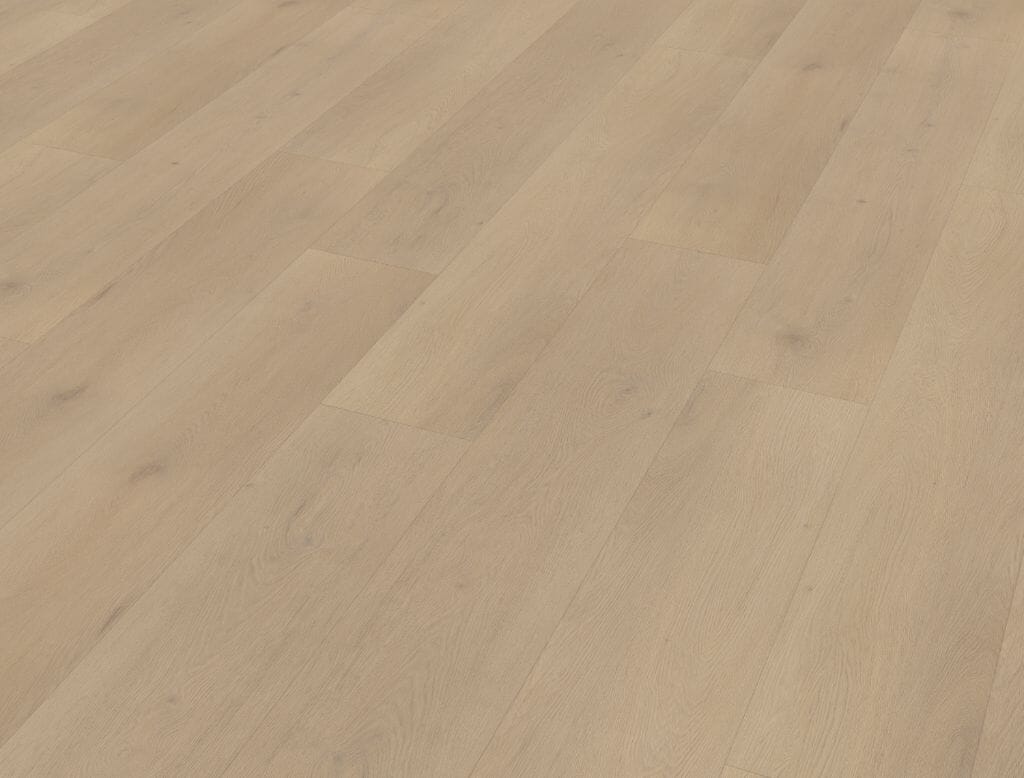 Belakos - Palazzo 770 | Rigid Click