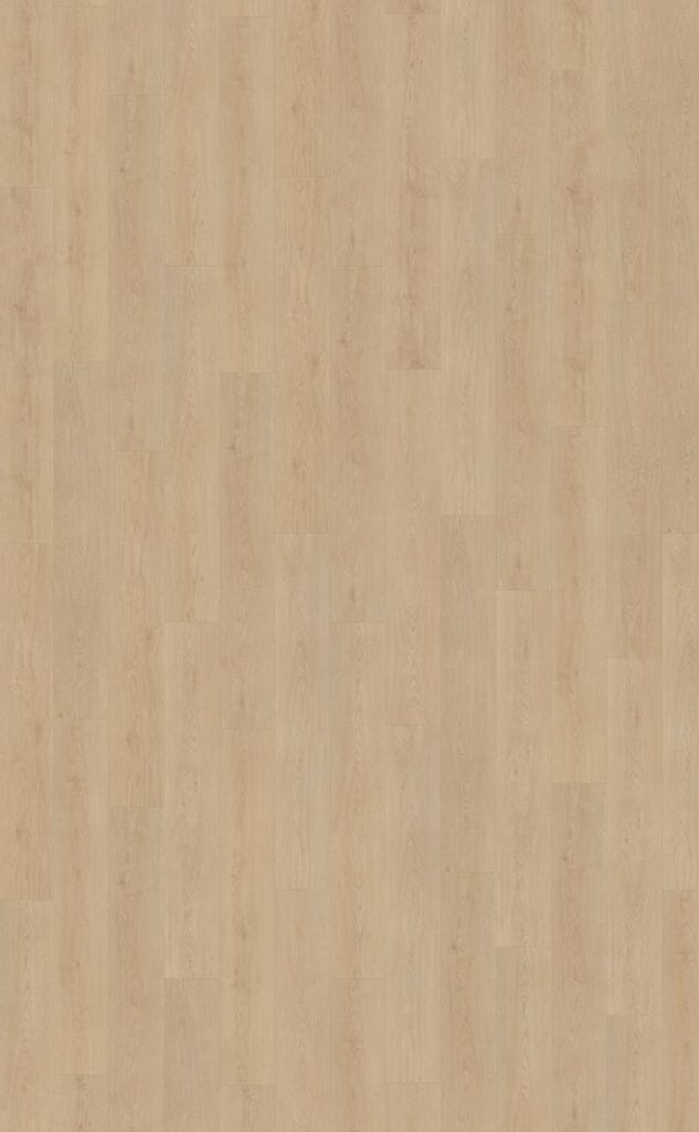 Belakos - Monastro 920 | Rigid Click Belakos - Monastro 920 | Rigid Click