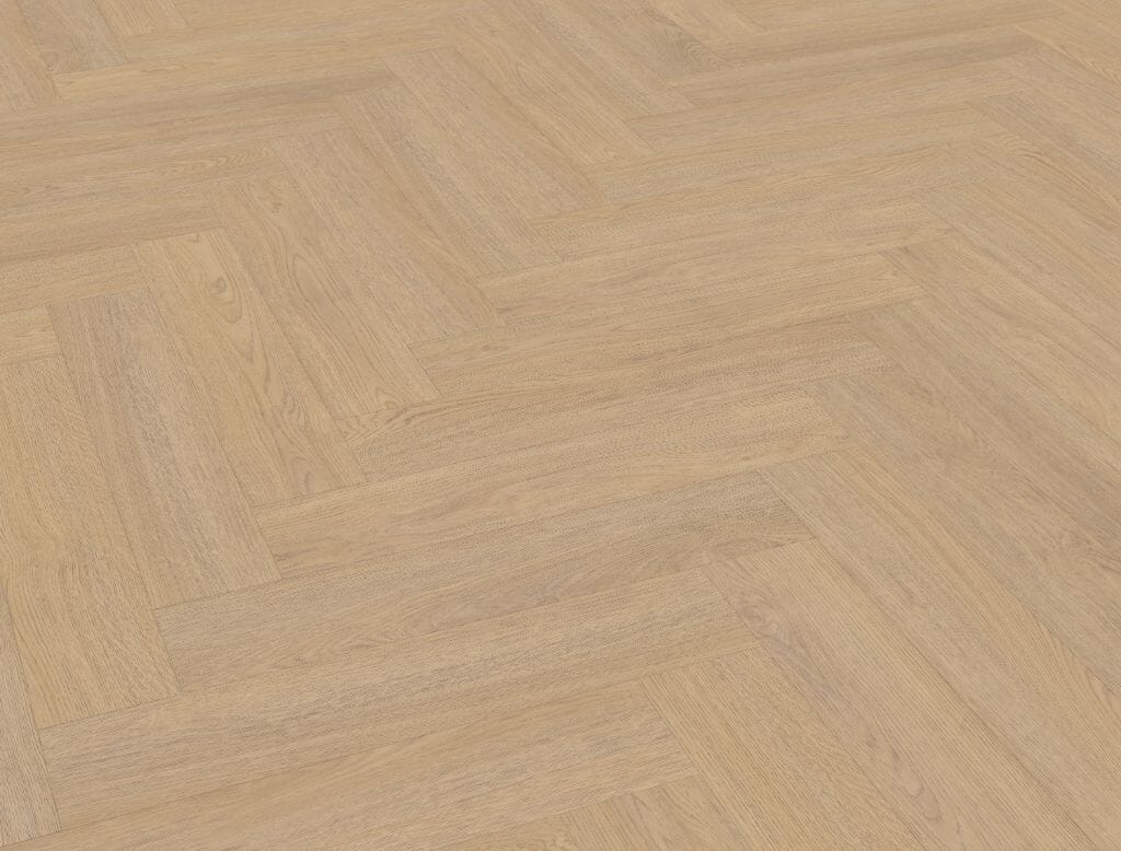 Belakos - Terreno visgraat XL 61 | Rigid Click